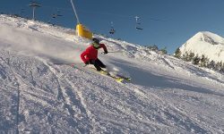 sion at a particular time, place a